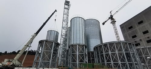 蒼溪縣總投資1.2億元飼料加工廠預(yù)計二季度試生產(chǎn)