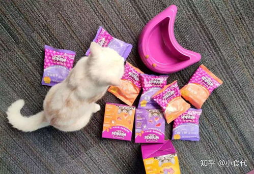 投資超6億 瑪氏天津寵物食品新廠動工,我們和中國區(qū)總裁聊了聊